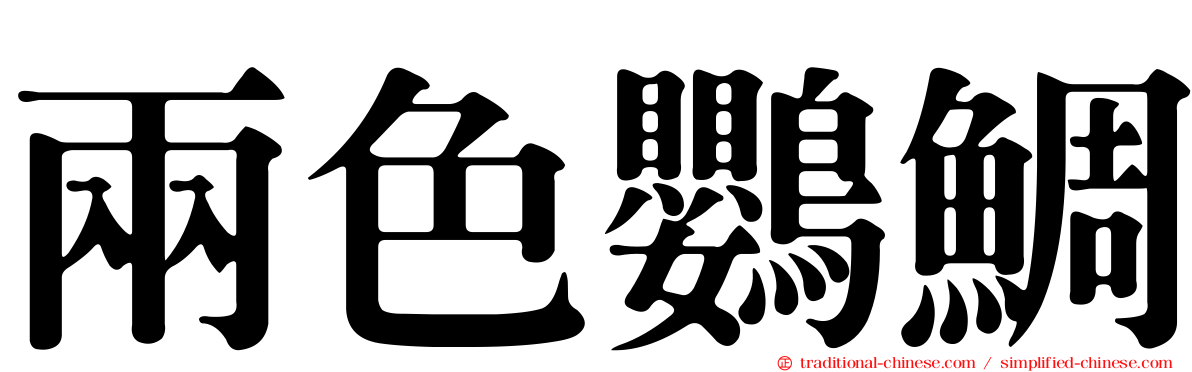 兩色鸚鯛