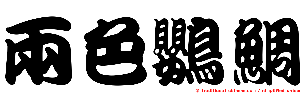 兩色鸚鯛