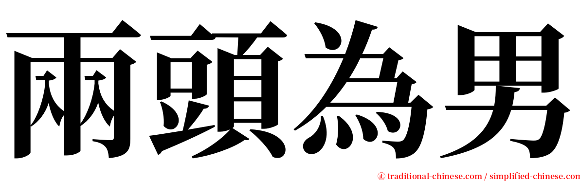 兩頭為男 serif font