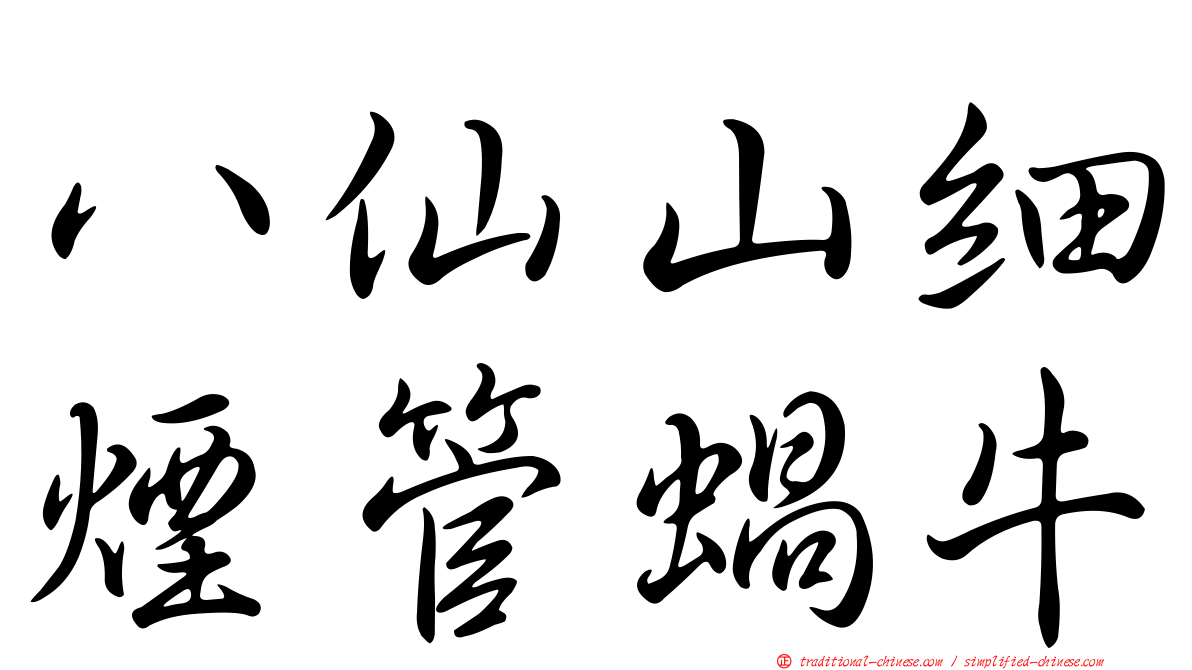 八仙山細煙管蝸牛