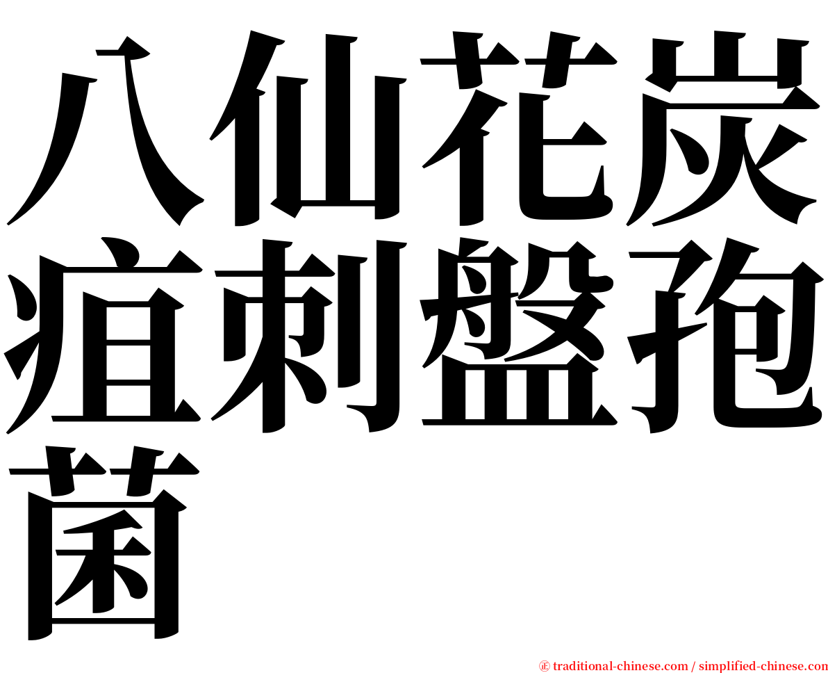 八仙花炭疽刺盤孢菌 serif font