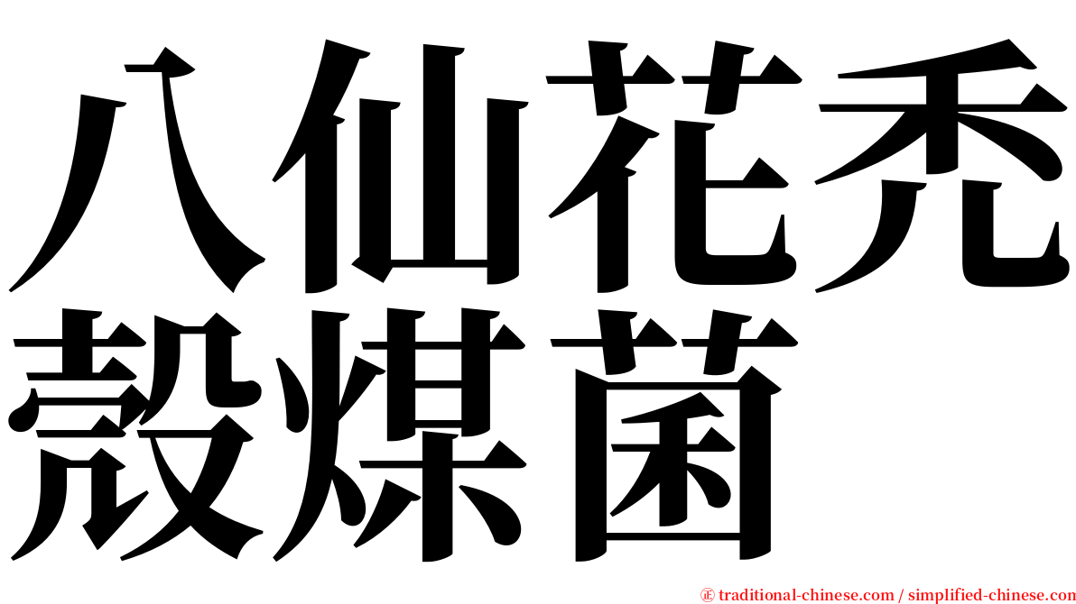 八仙花禿殼煤菌 serif font