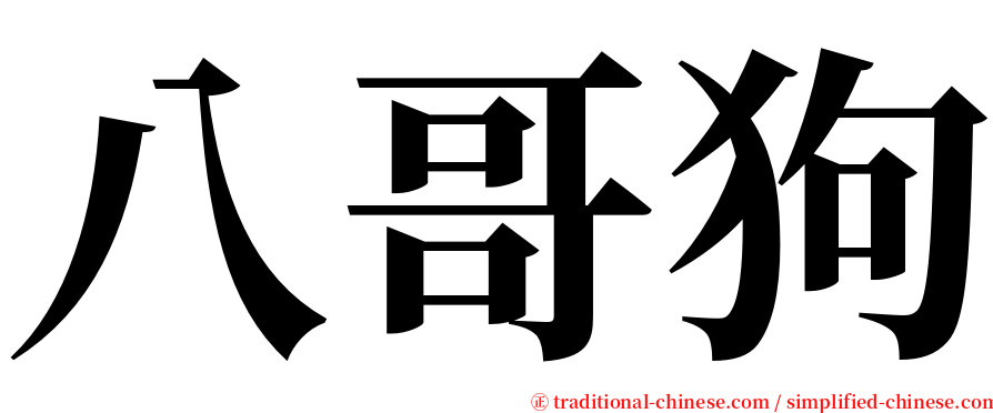 八哥狗 serif font