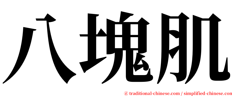 八塊肌 serif font