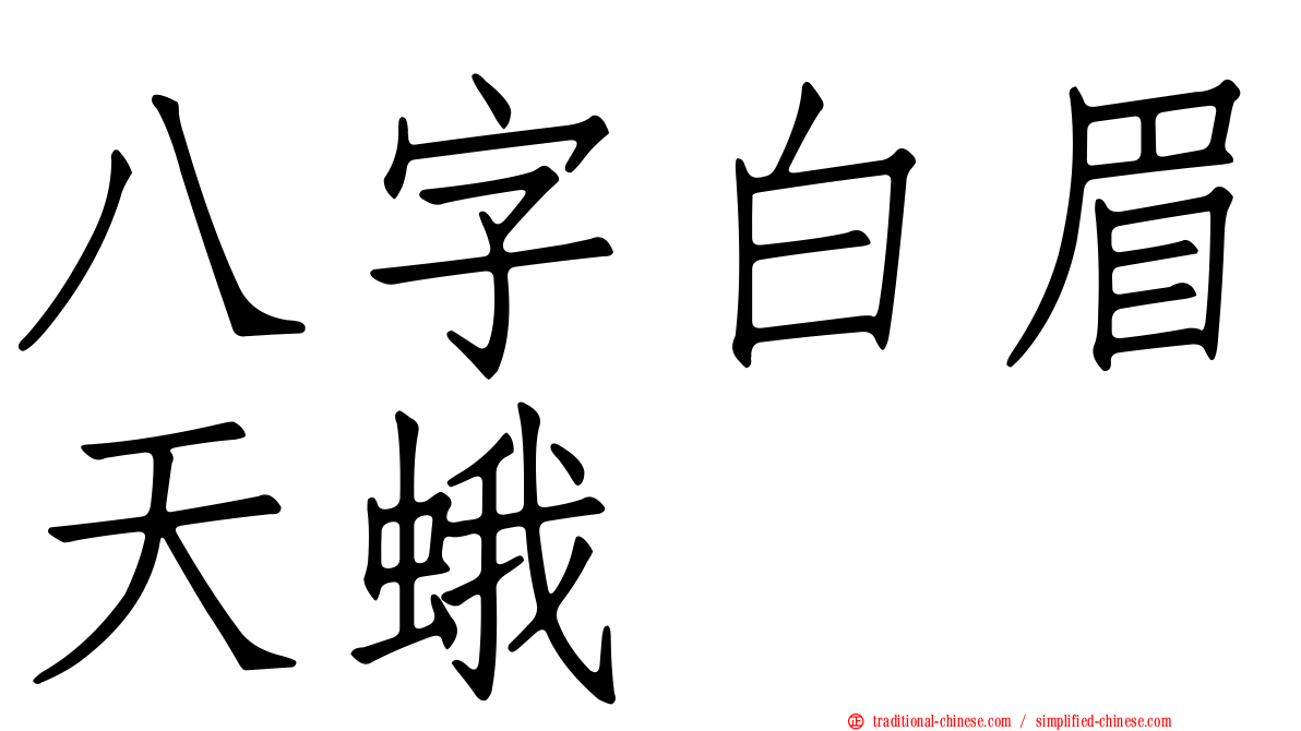 八字白眉天蛾