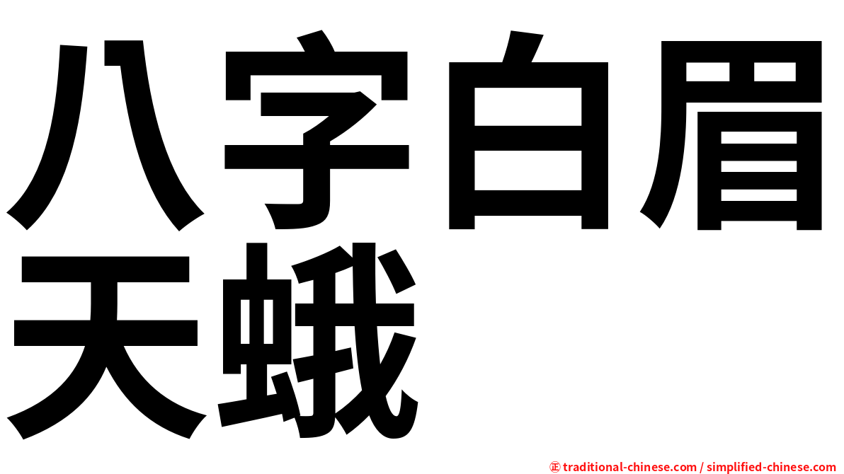 八字白眉天蛾