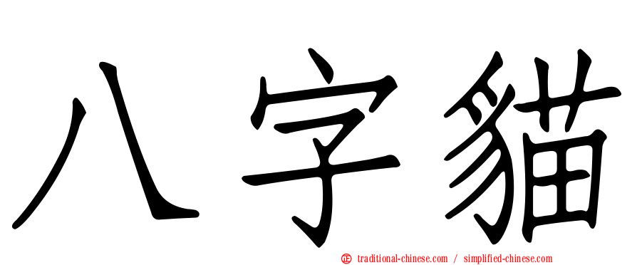 八字貓