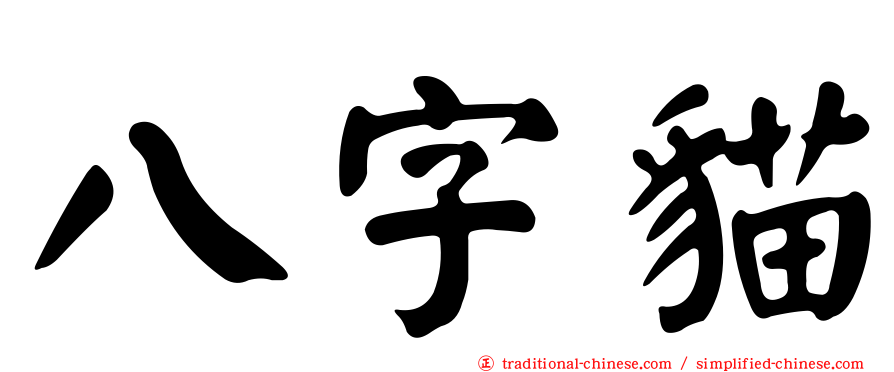 八字貓