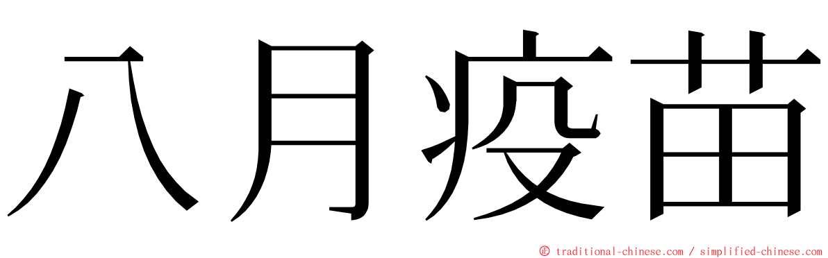 八月疫苗 ming font