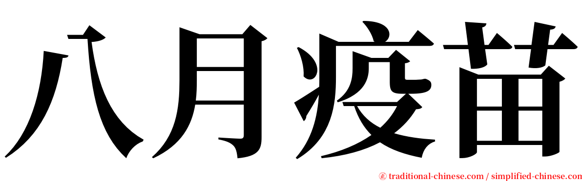 八月疫苗 serif font