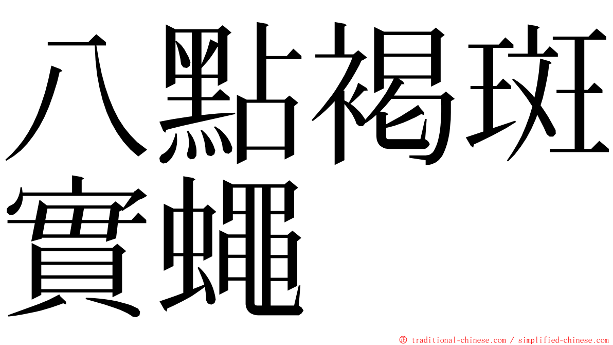 八點褐斑實蠅 ming font