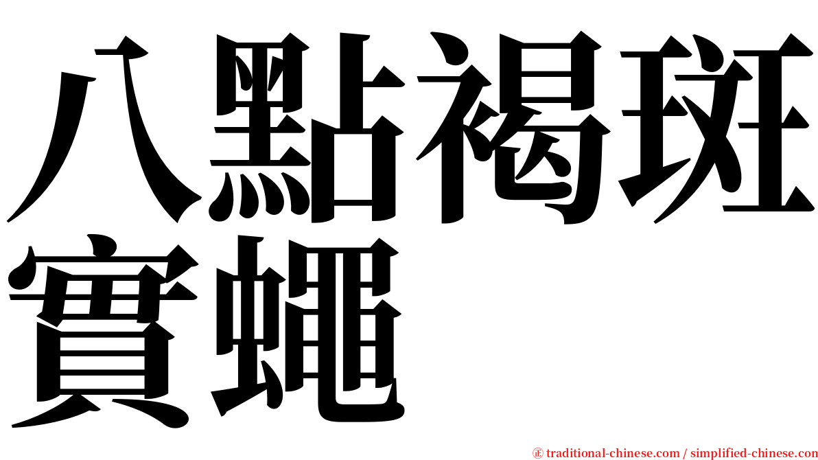 八點褐斑實蠅 serif font