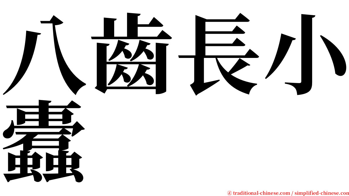 八齒長小蠹 serif font