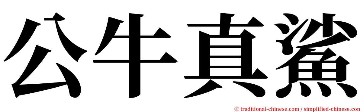 公牛真鯊 serif font