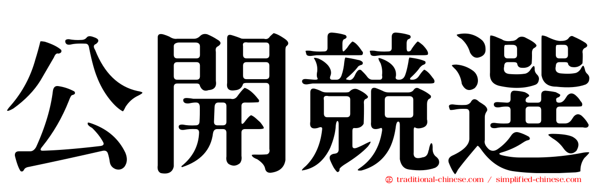 公開競選