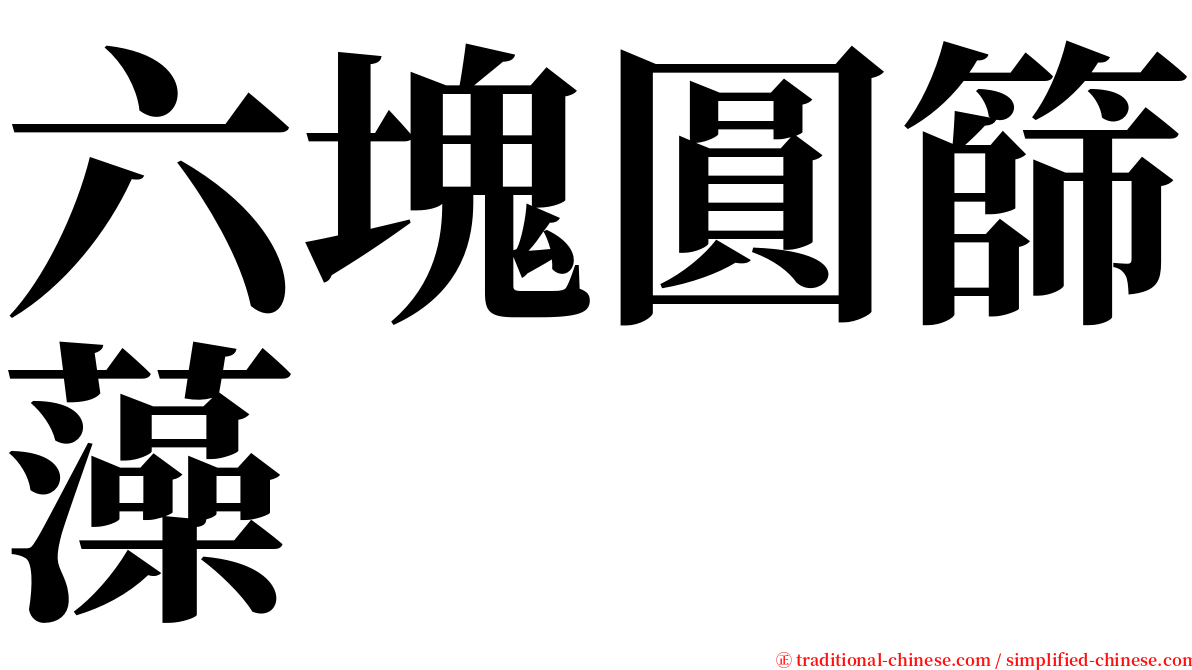 六塊圓篩藻 serif font