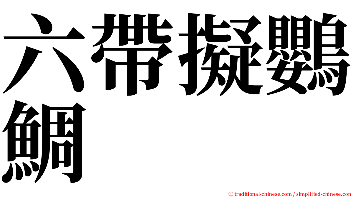 六帶擬鸚鯛 serif font