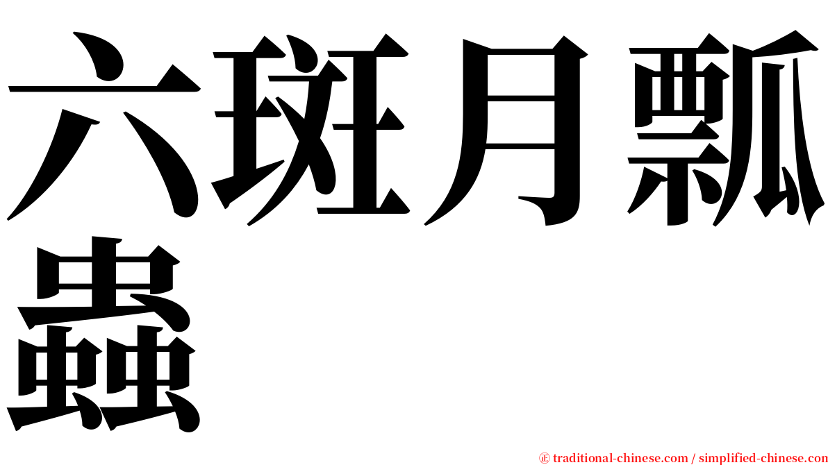 六斑月瓢蟲 serif font