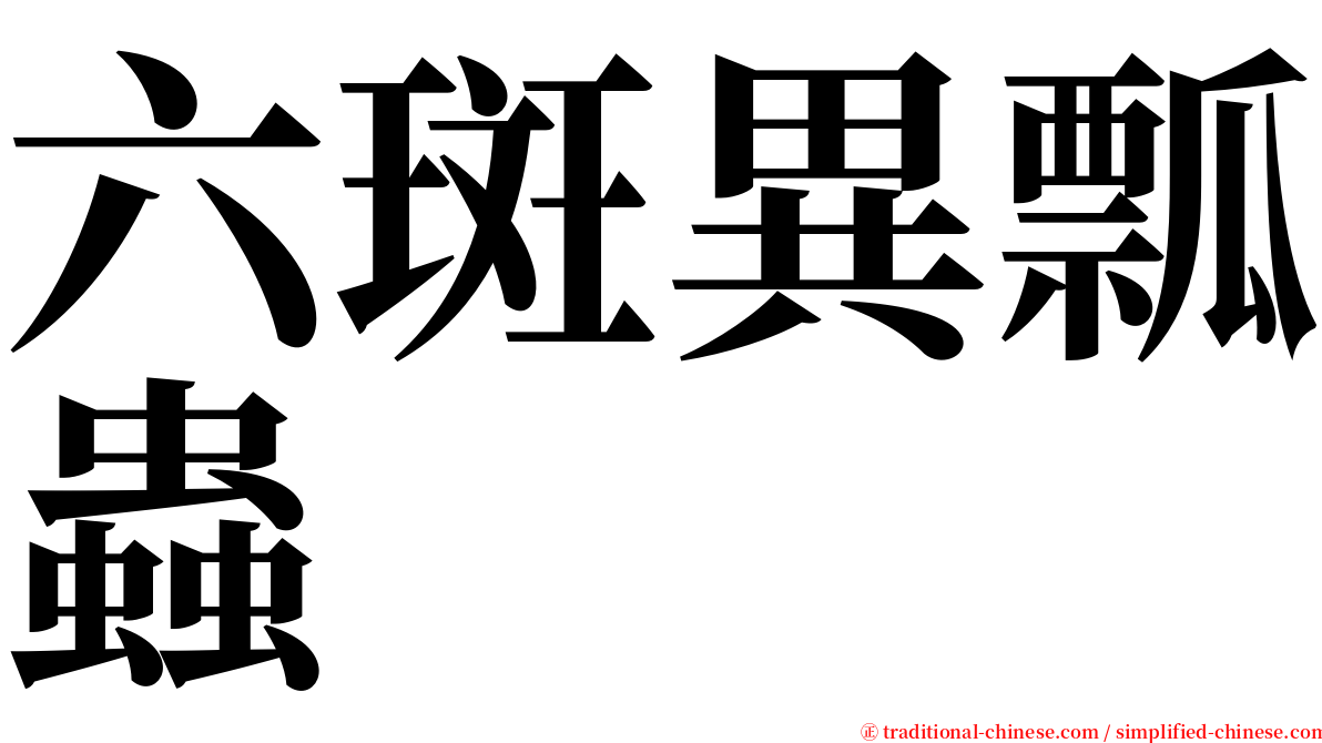 六斑異瓢蟲 serif font