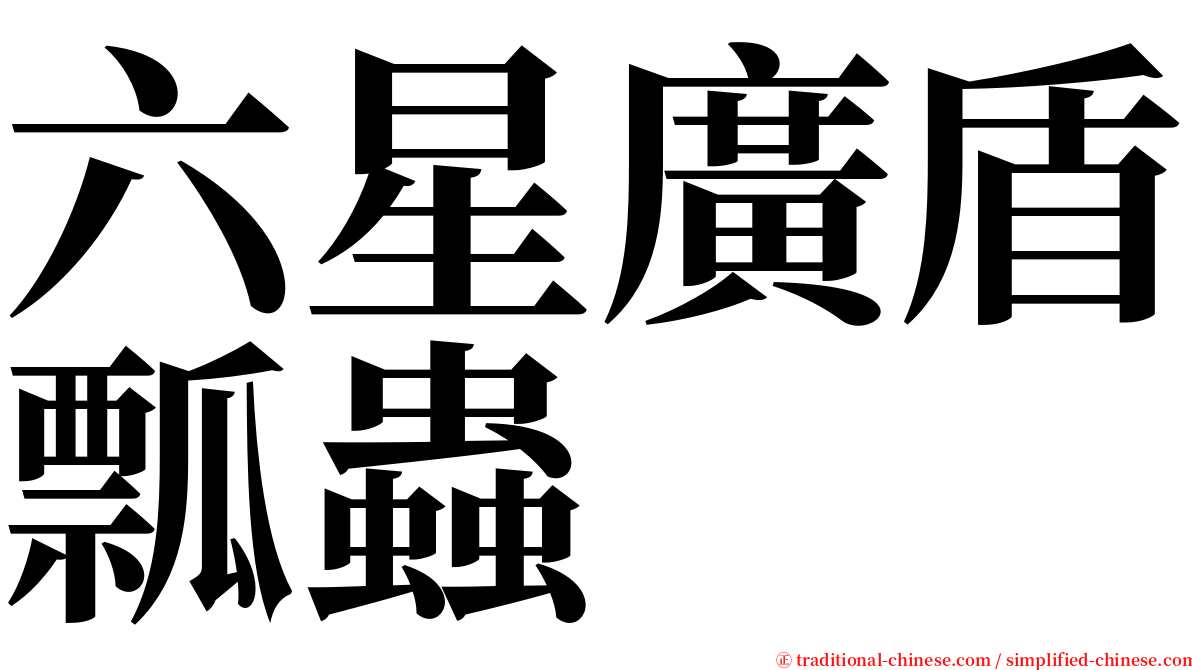 六星廣盾瓢蟲 serif font