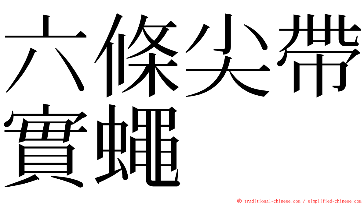 六條尖帶實蠅 ming font