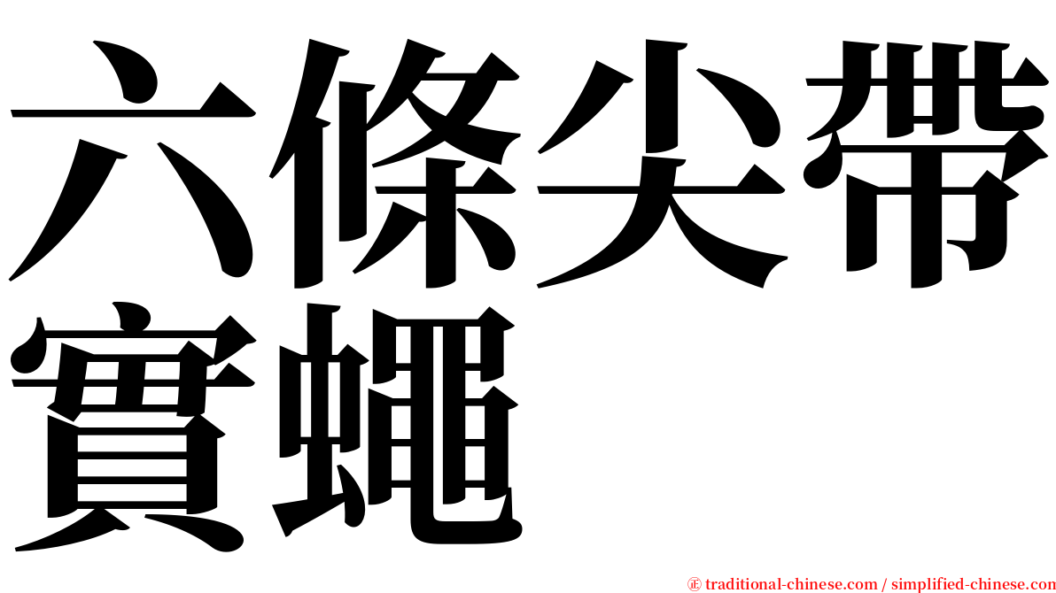 六條尖帶實蠅 serif font