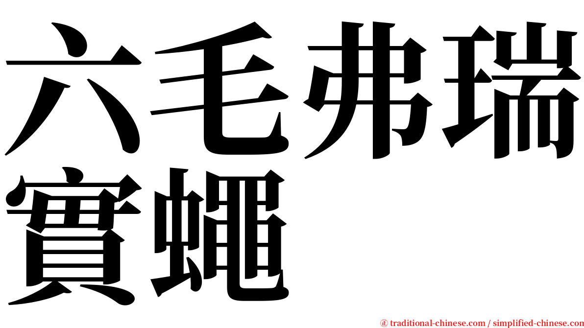 六毛弗瑞實蠅 serif font