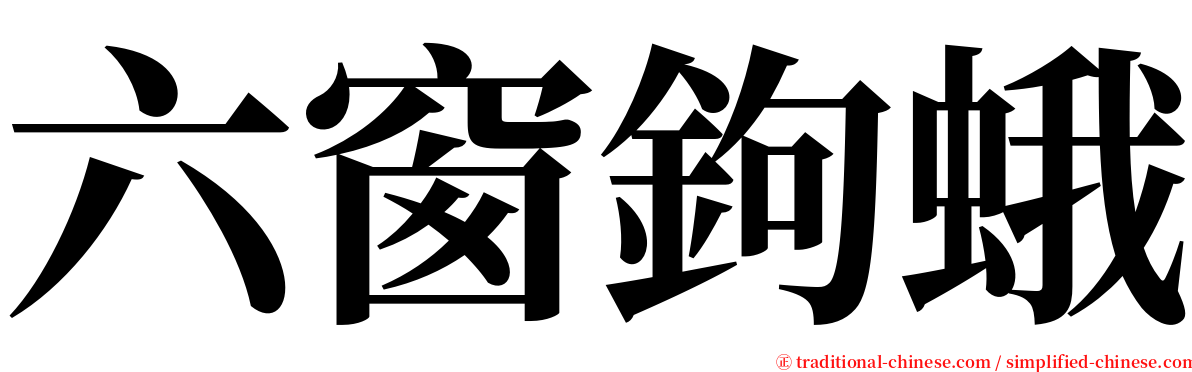 六窗鉤蛾 serif font