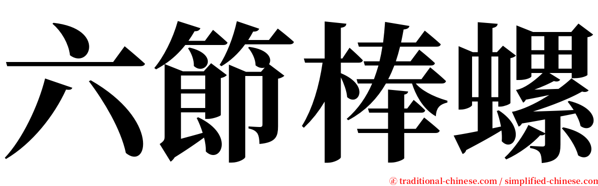 六節棒螺 serif font