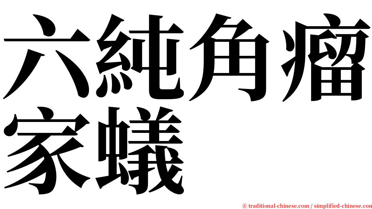 六純角瘤家蟻 serif font