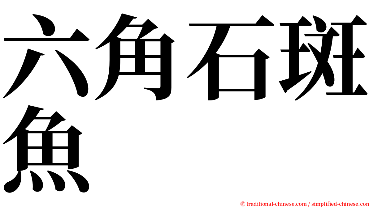 六角石斑魚 serif font