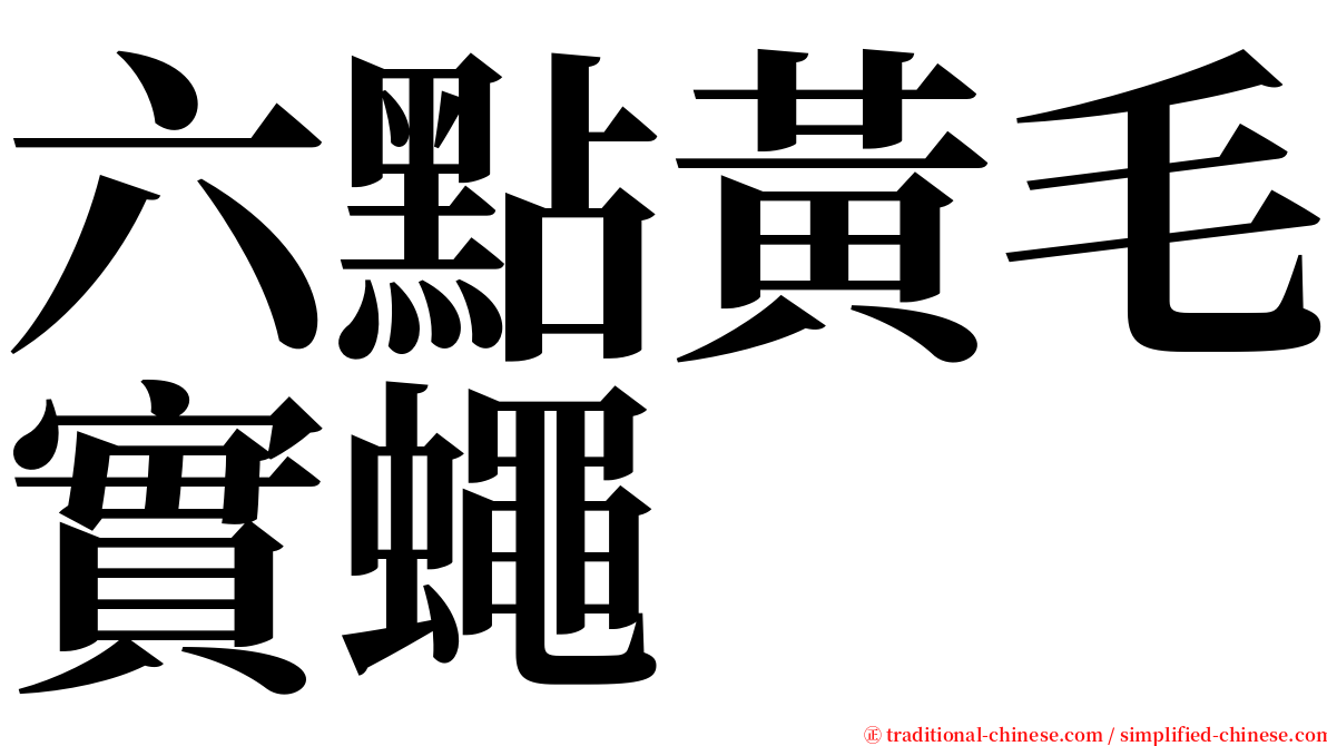 六點黃毛實蠅 serif font