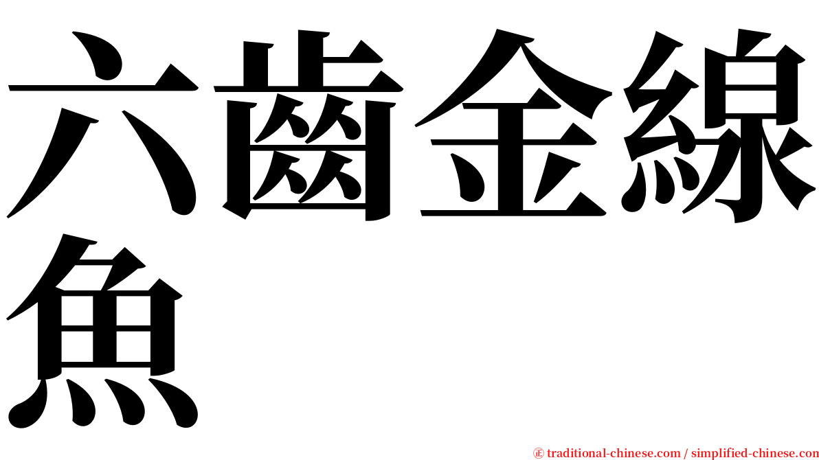 六齒金線魚 serif font