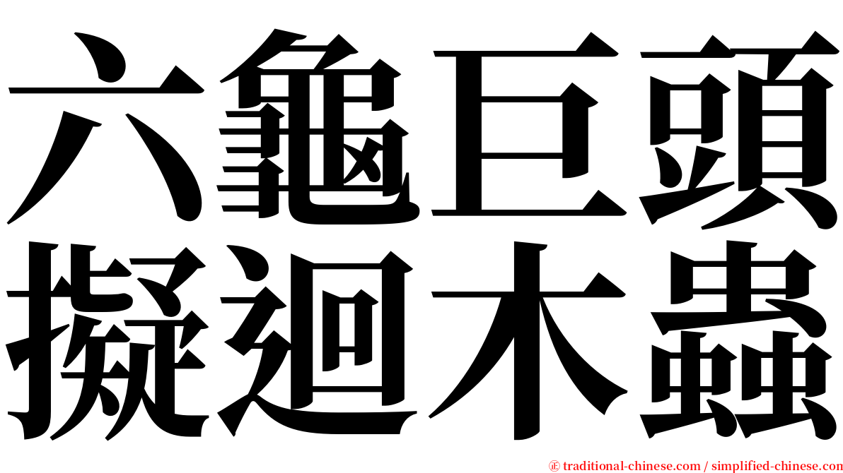 六龜巨頭擬迴木蟲 serif font