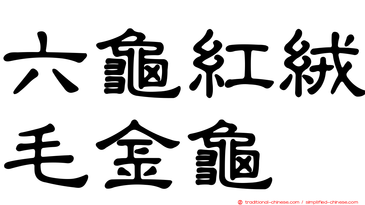 六龜紅絨毛金龜