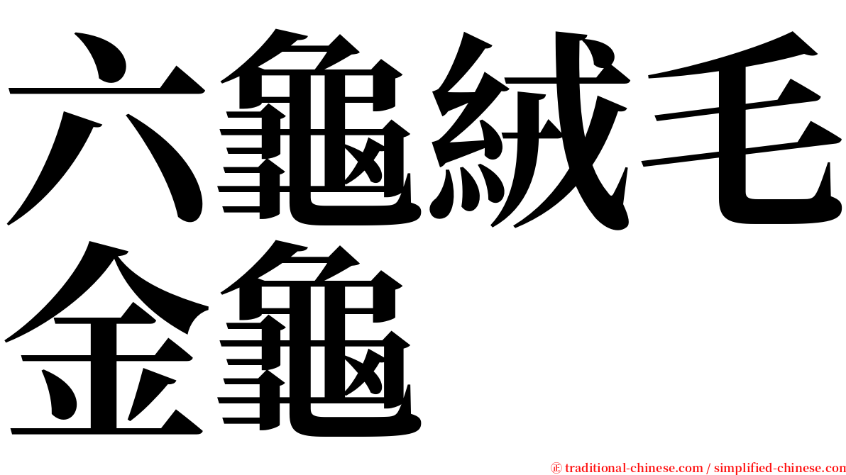 六龜絨毛金龜 serif font