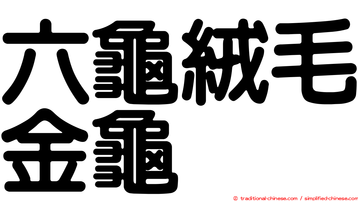 六龜絨毛金龜