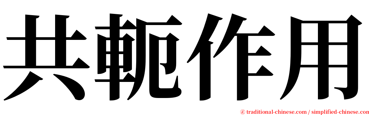 共軛作用 serif font