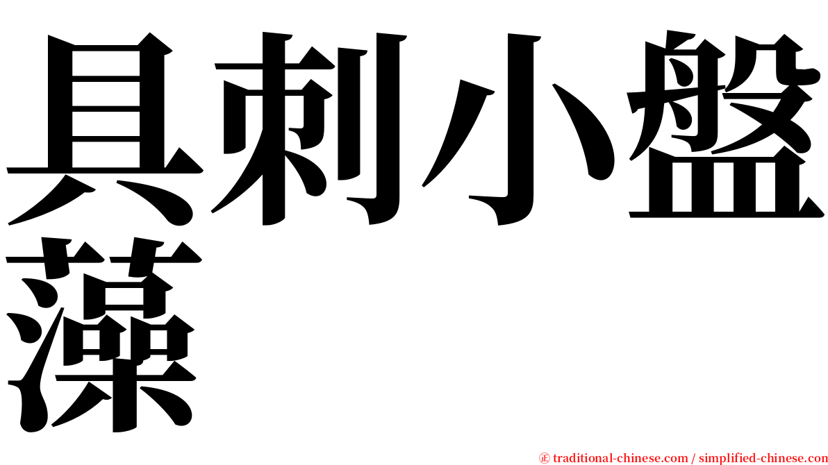 具刺小盤藻 serif font