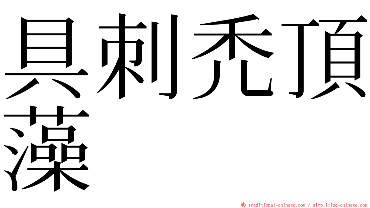 具刺禿頂藻 ming font