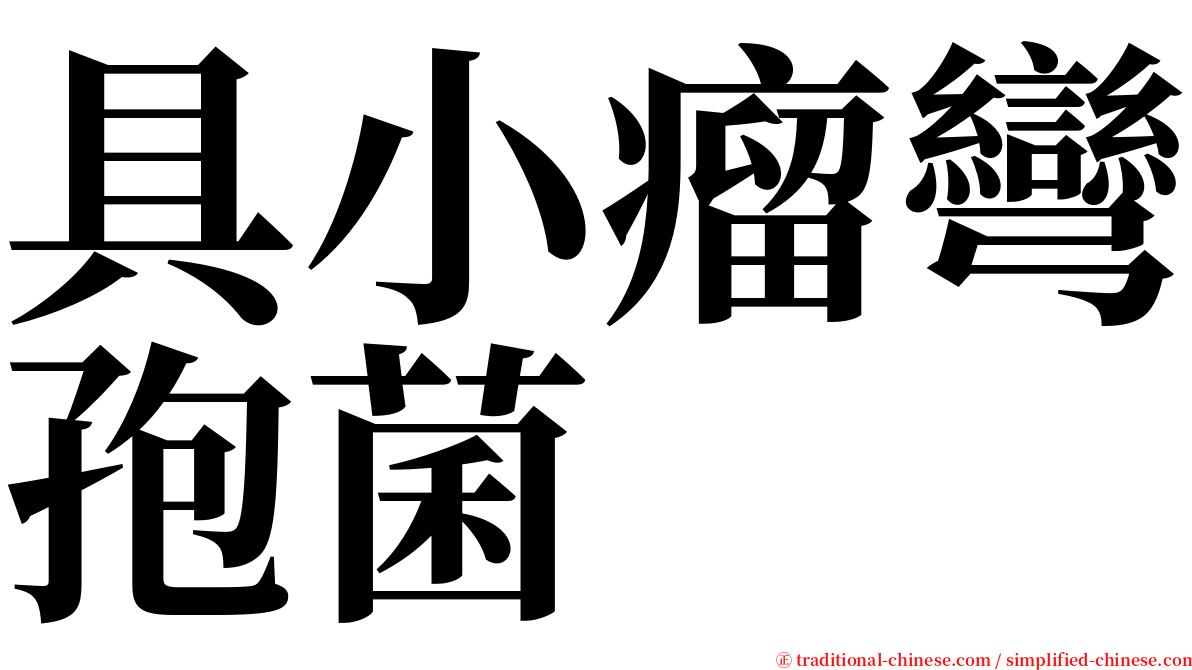 具小瘤彎孢菌 serif font