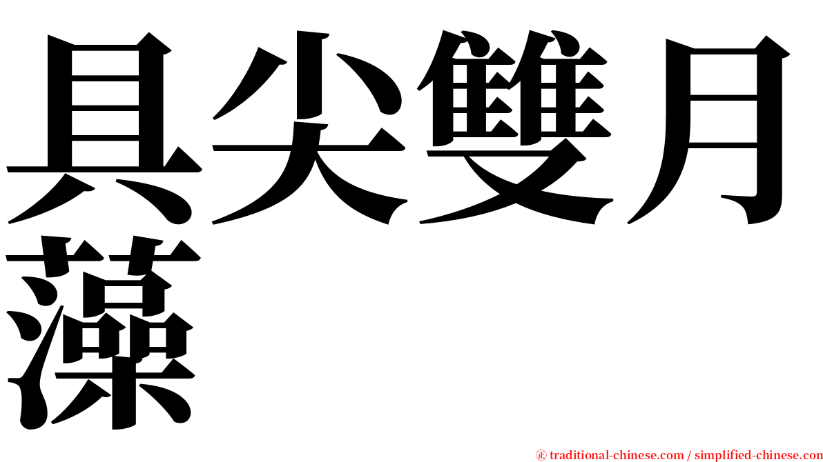 具尖雙月藻 serif font