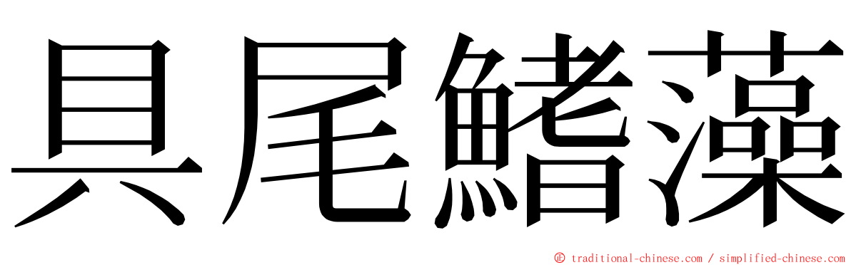 具尾鰭藻 ming font