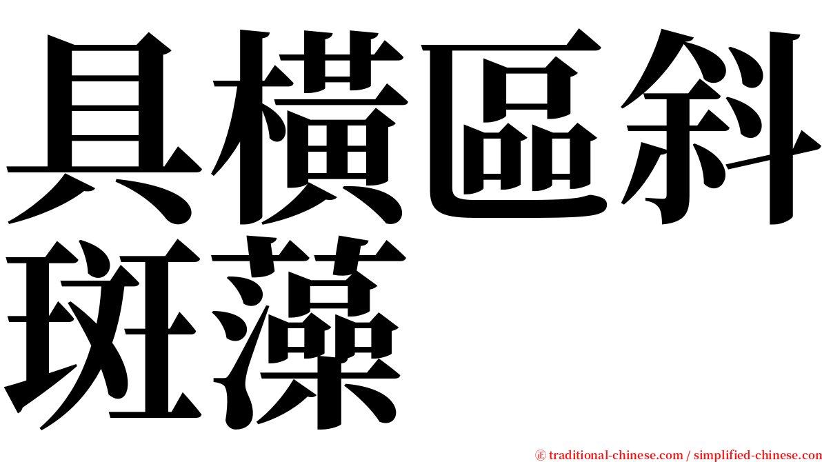 具橫區斜斑藻 serif font