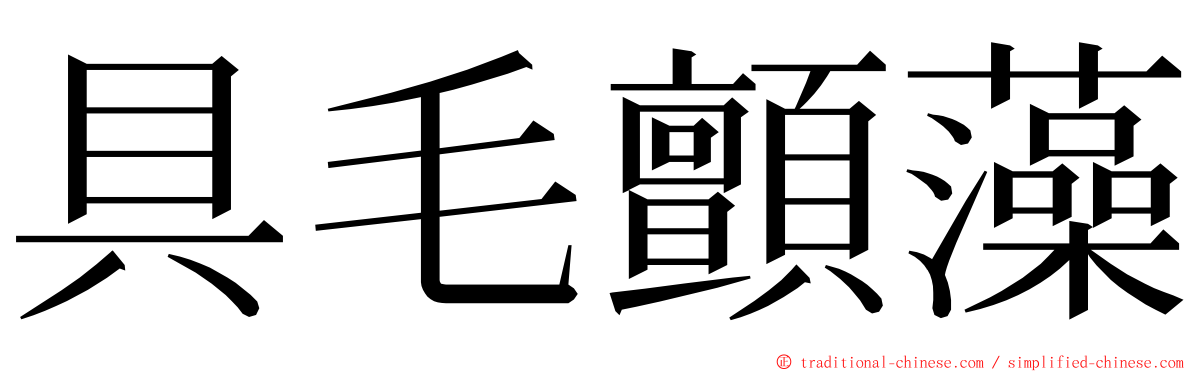 具毛顫藻 ming font