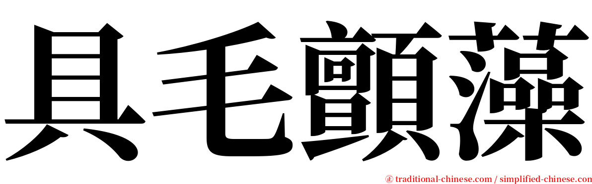 具毛顫藻 serif font