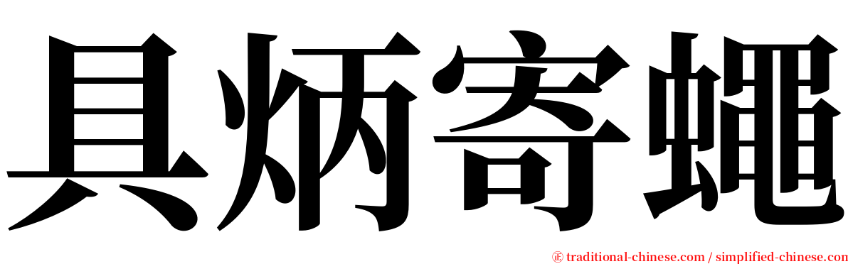 具炳寄蠅 serif font