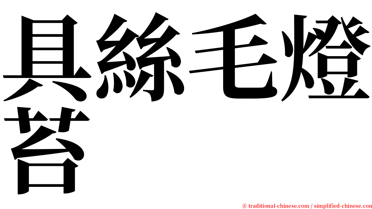 具絲毛燈苔 serif font