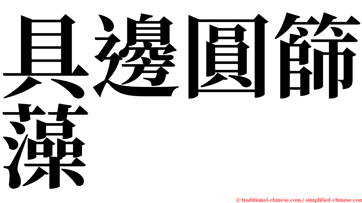 具邊圓篩藻 serif font