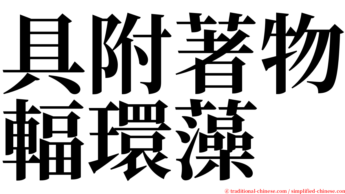 具附著物輻環藻 serif font